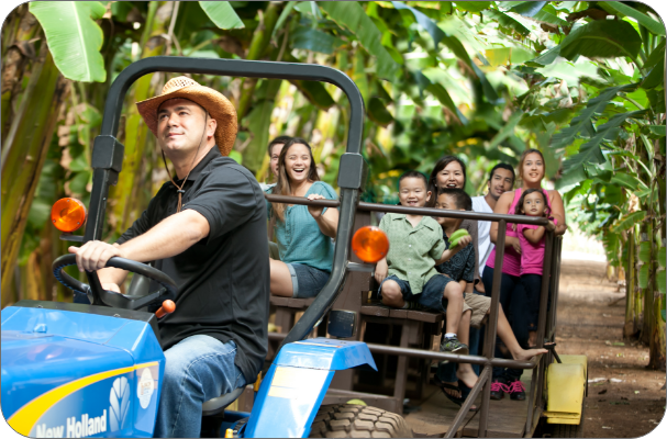 grand tour in banana patch tunnel