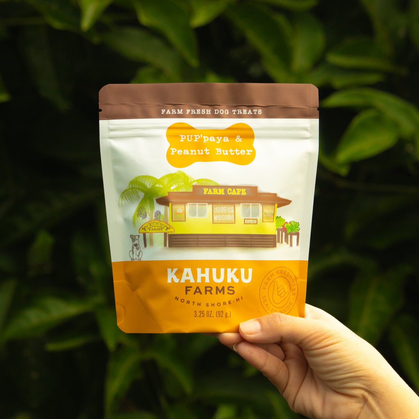 PUP'paya & Peanut Butter Doggie Treats