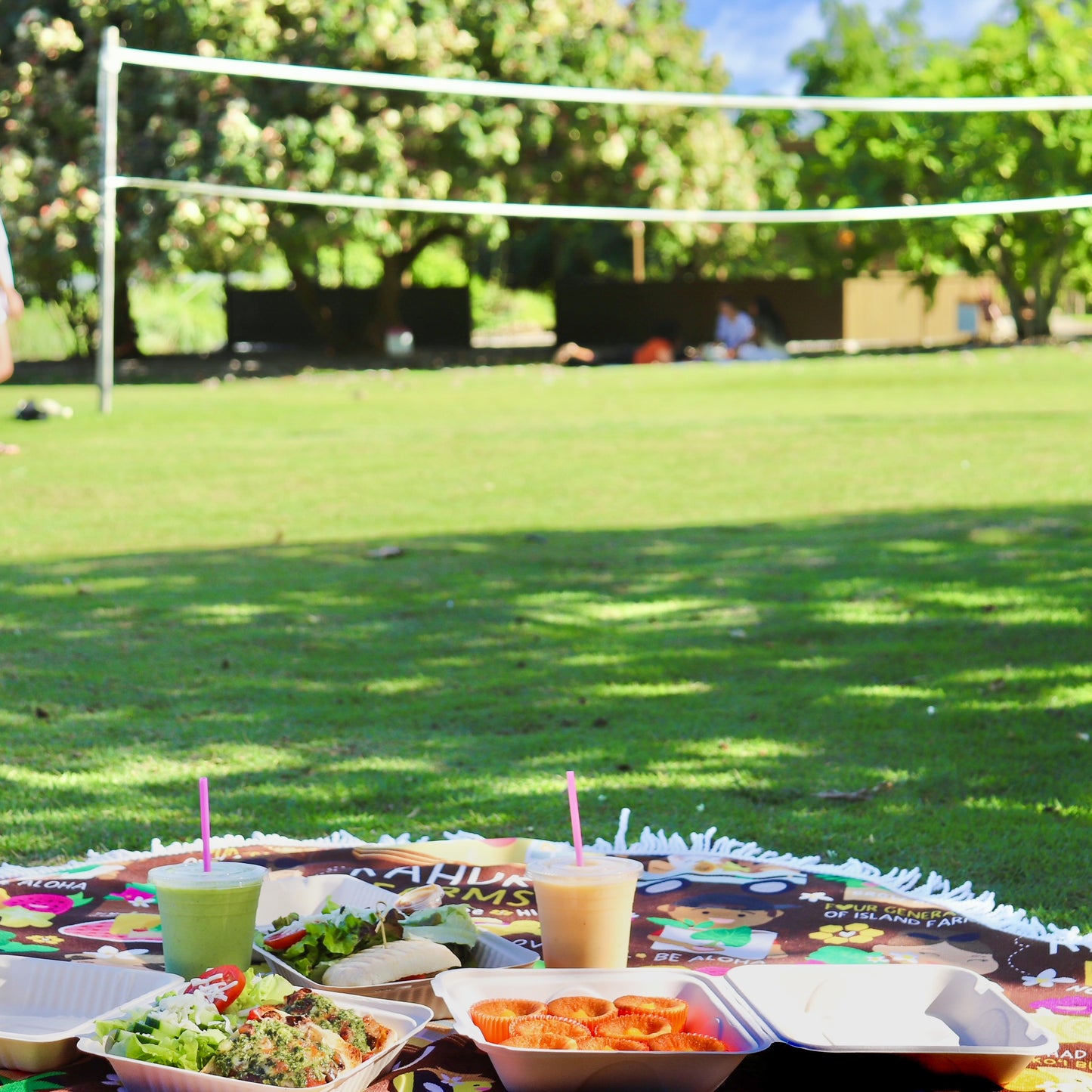 Picnic Towel