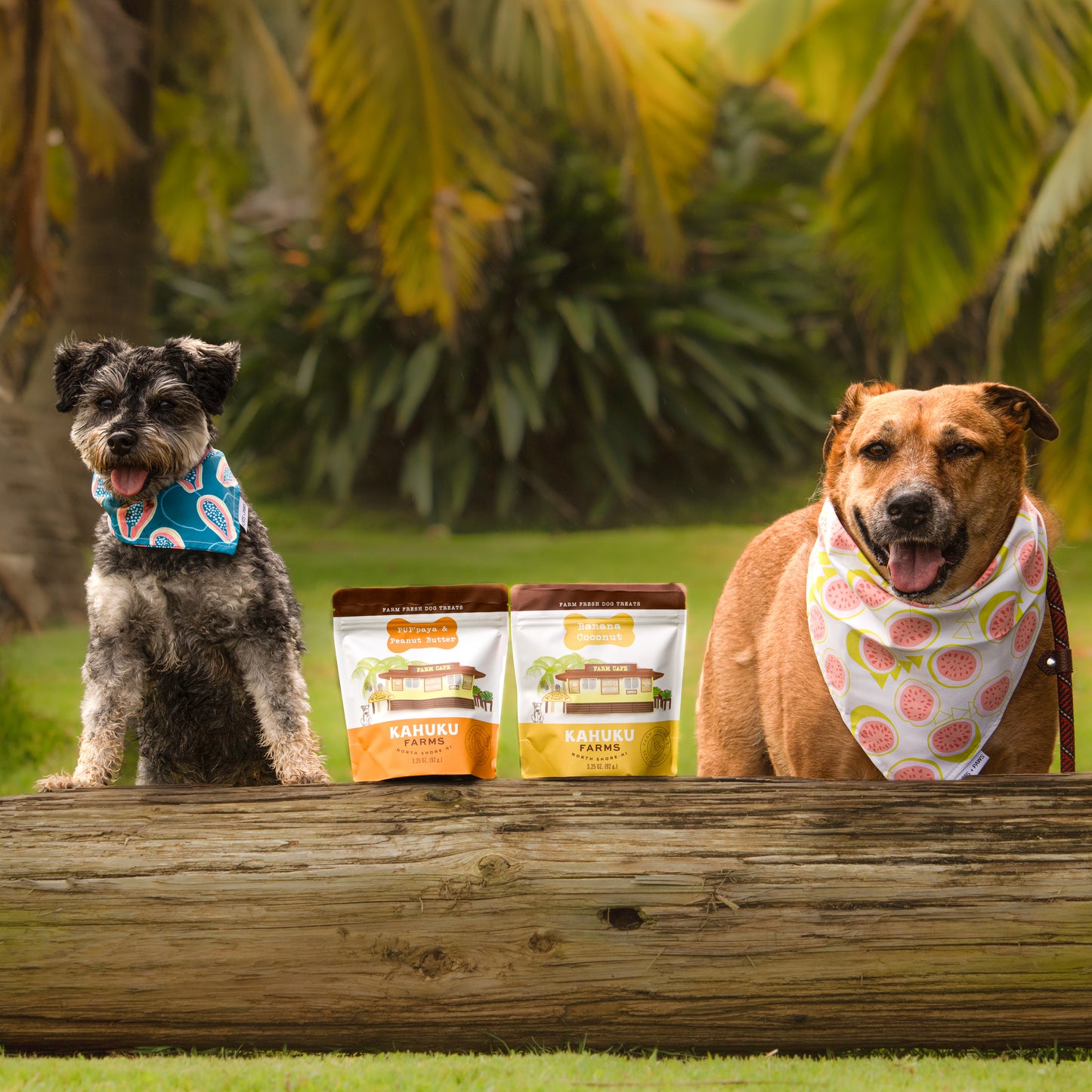 Banana Coconut Doggie Treats