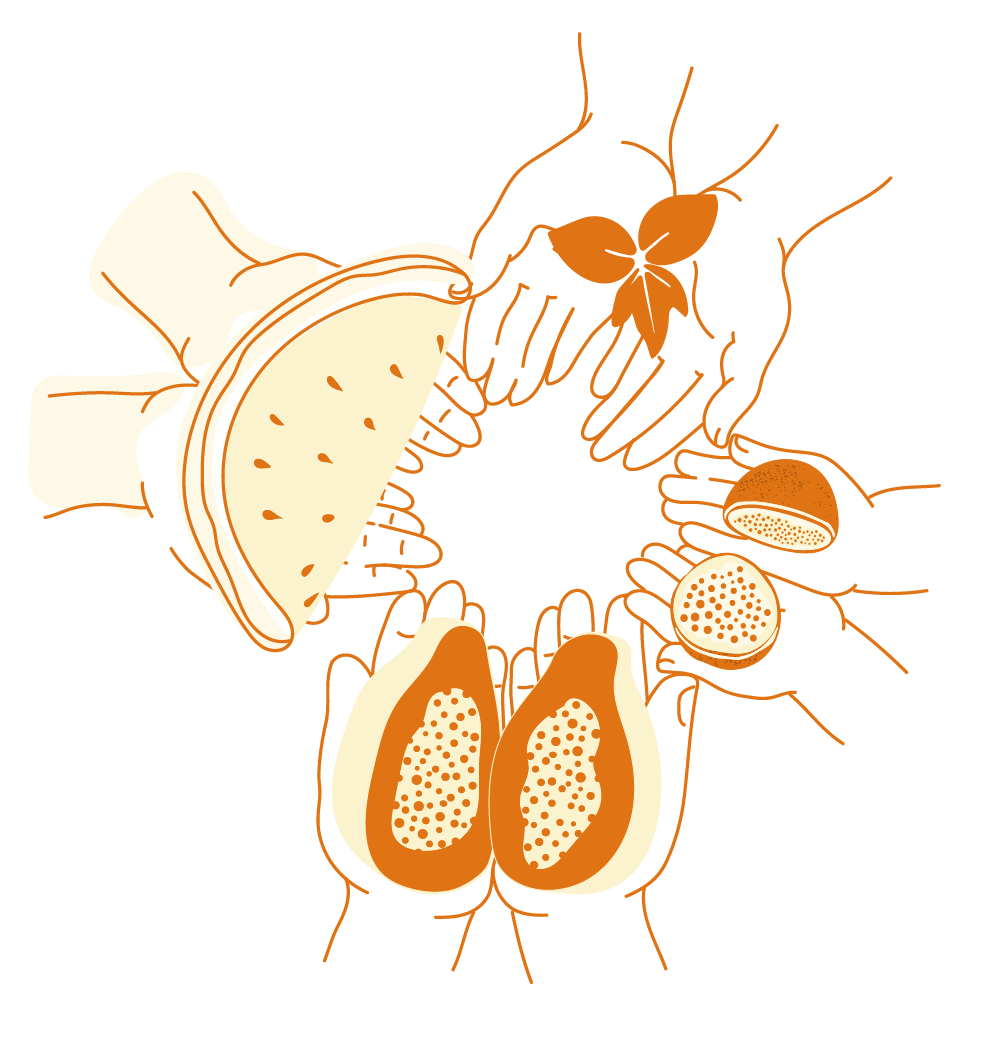 illustration of hands holding fruits