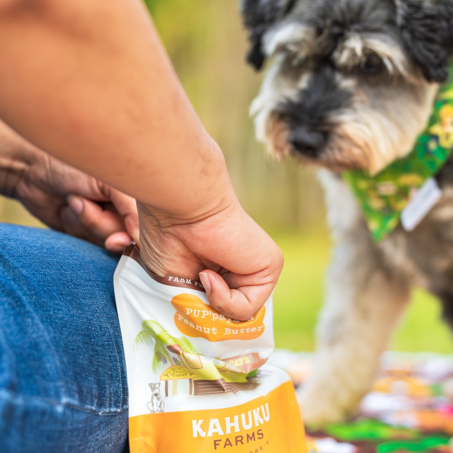 PUP'paya & Peanut Butter Doggie Treats
