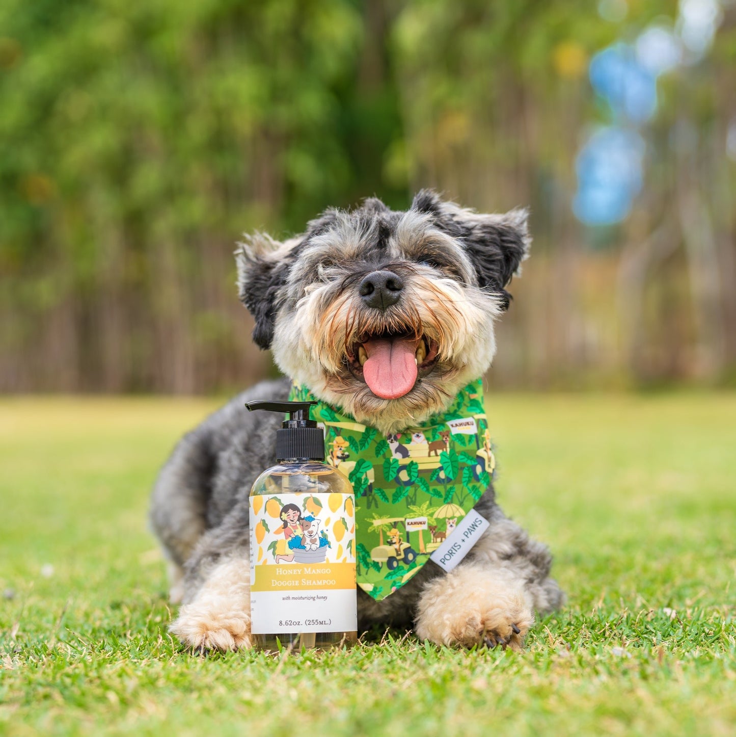 happy dog with bottle of honey mango doggie shampoo