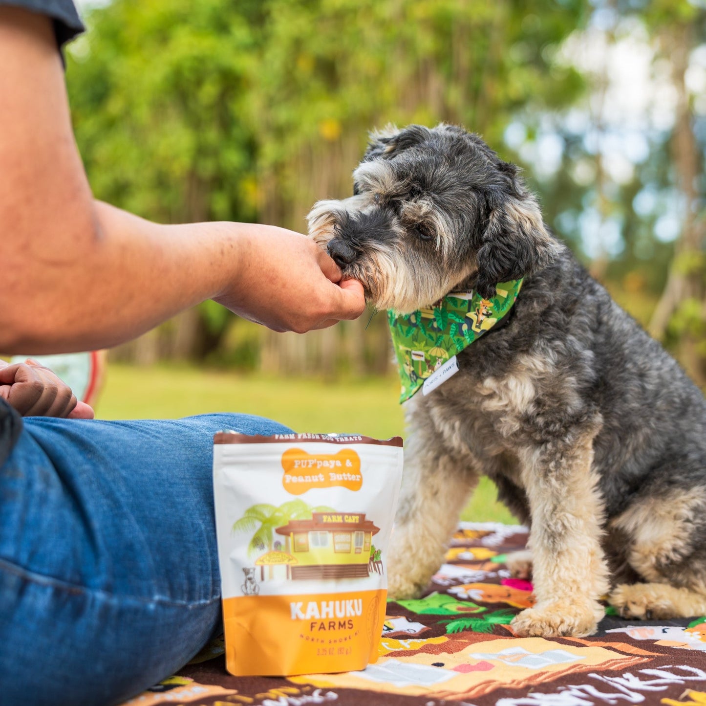 PUP'paya & Peanut Butter Doggie Treats