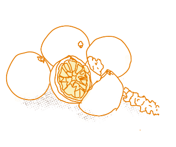 illustration of acai berries