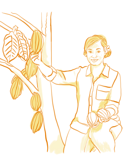 illustration of kylie matsuda-lum harvesting cacao