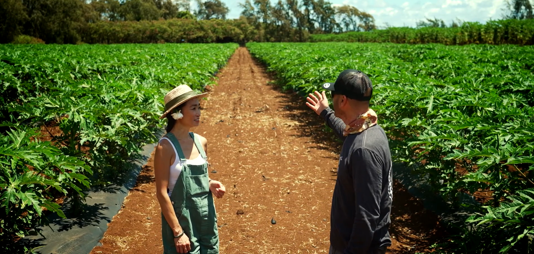 Load video: Kahuku Farms: Our TRUE Farm-to-Table Experience!