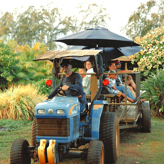 photo of wagon tour