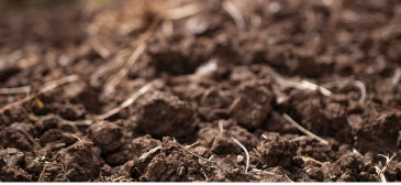 The Secret to Healthy Soil