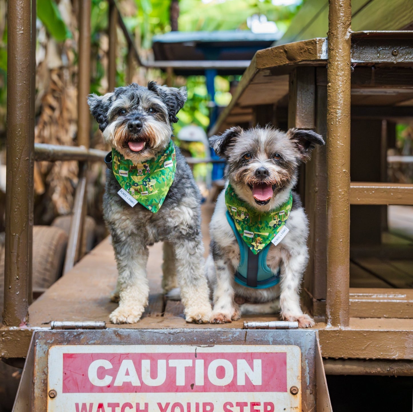 Kahuku Farms Doggie Bandana