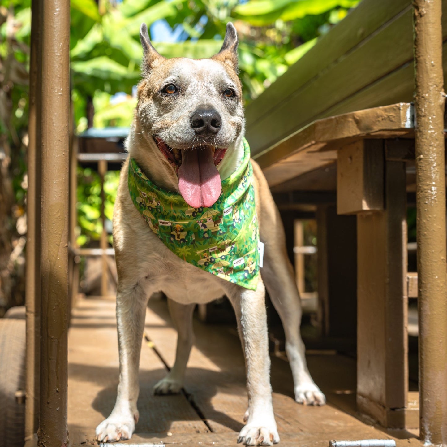 Kahuku Farms Doggie Bandana