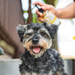 Honey Mango Doggie Shampoo