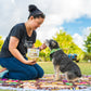 Banana Coconut Doggie Treats